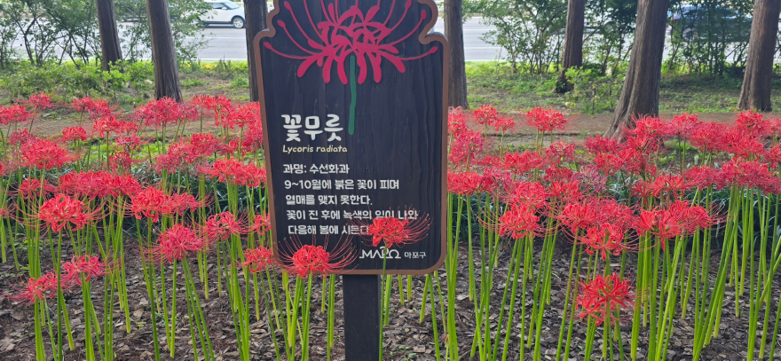 KakaoTalk_20250927_104854595.jpg