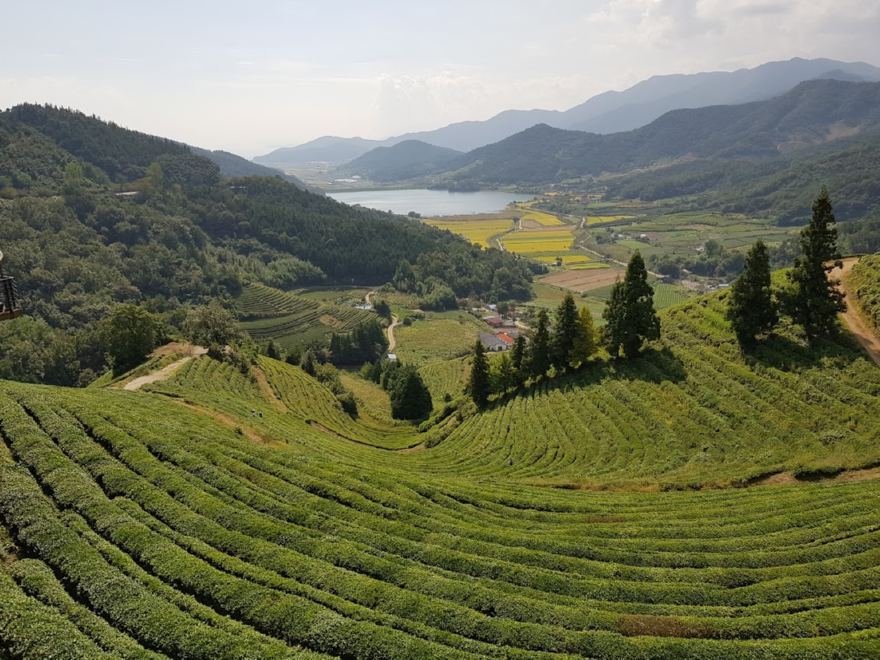 KakaoTalk_20251010_090138643.png