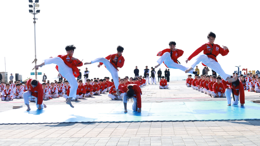 태권십시범뉴.jpg