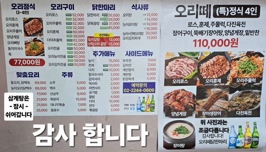 오리떼1.jpg