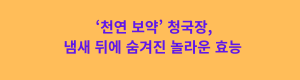 ‘천연 보약’ 청국장, 냄새 뒤에 숨겨진 놀라운 효능 텍스트.png
