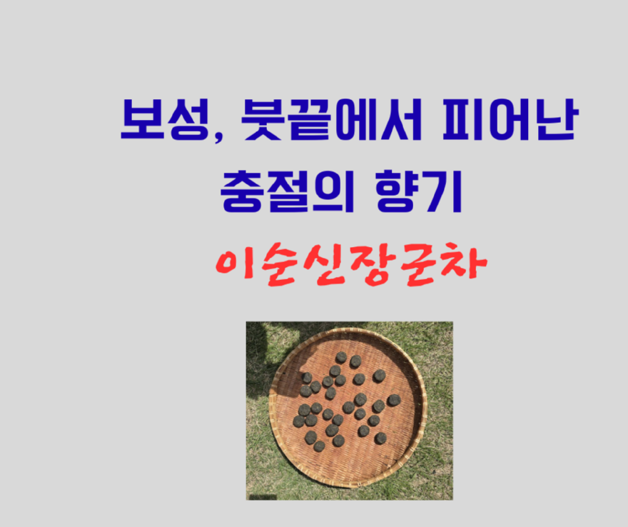 ‘투기’에서 ‘삶’으로… 다주택자 규제가 그리는 주거복지의 청사진 (6).png