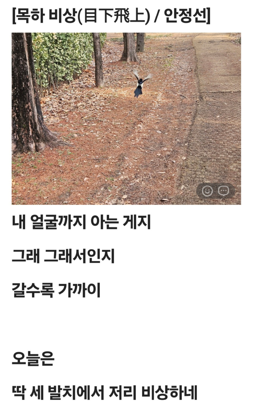 목하비상.jpg