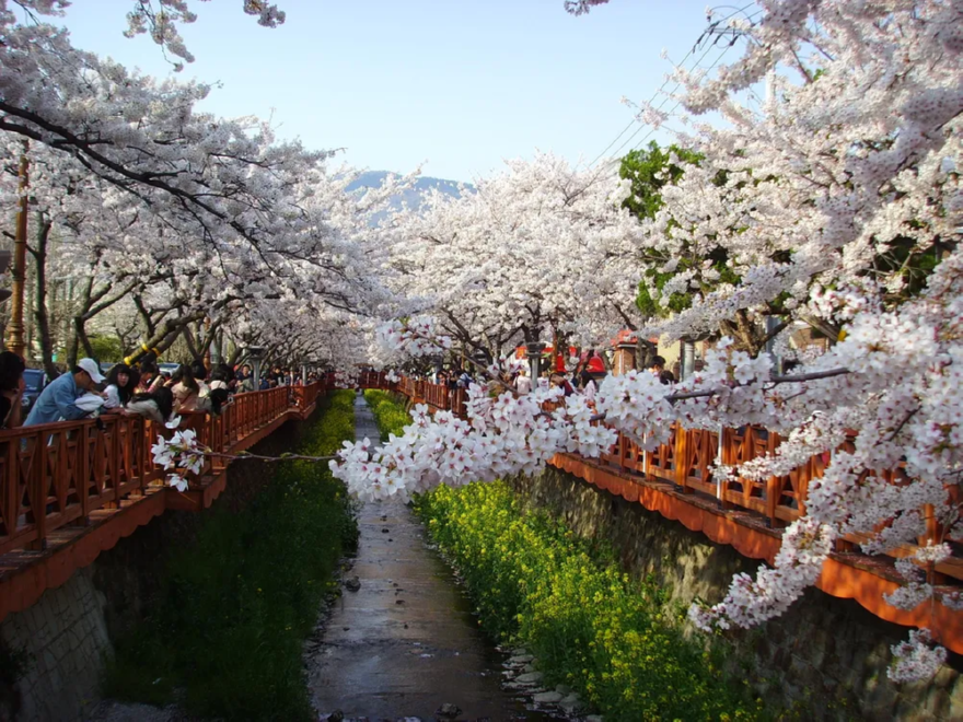 KakaoTalk_20260320_095502326.png