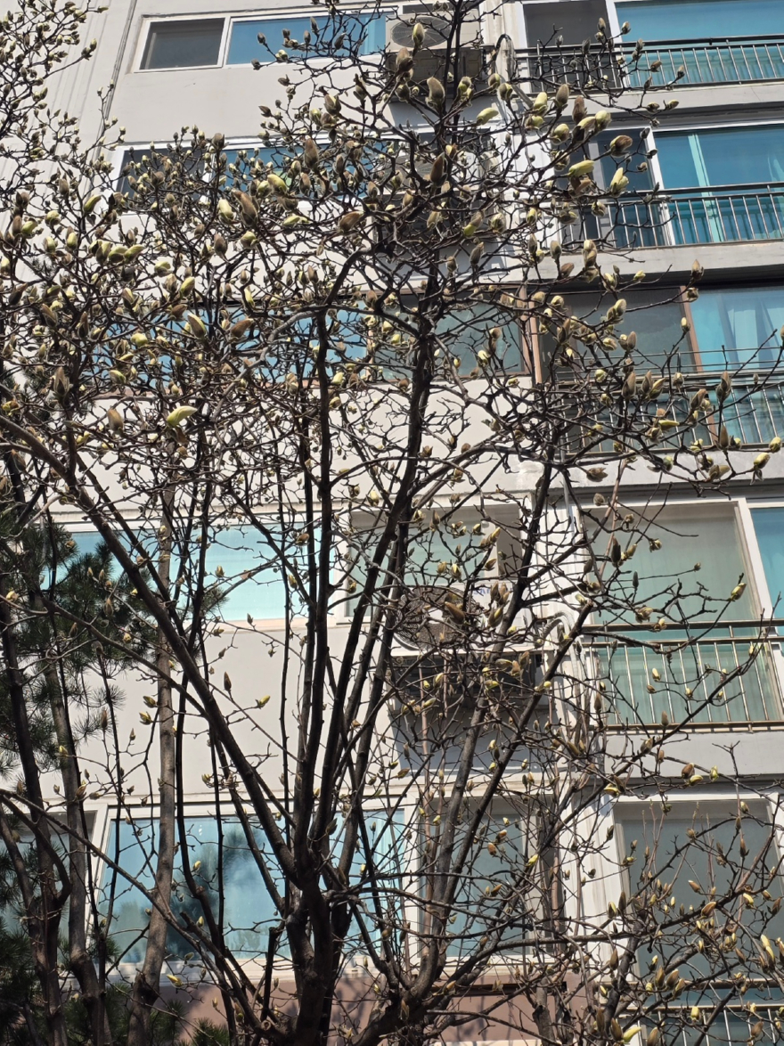 KakaoTalk_20260322_203017589_01.jpg