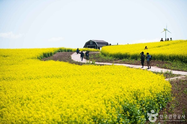 KakaoTalk_20260401_214001186.png