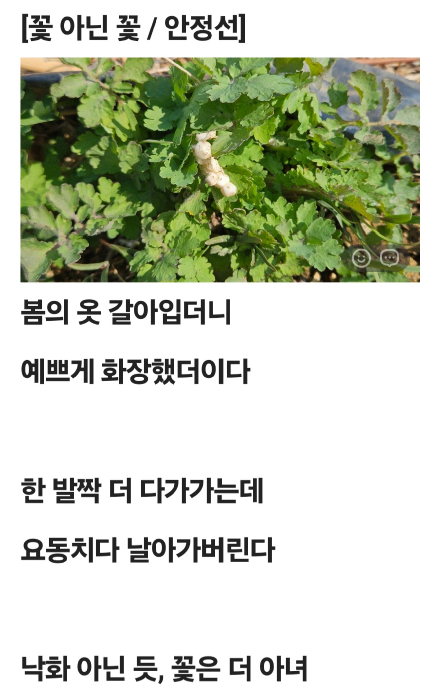 KakaoTalk_20260405_095717901.jpg