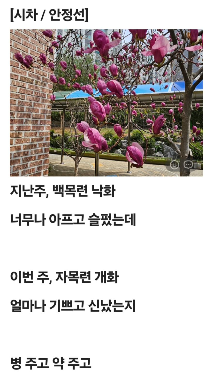 KakaoTalk_20260406_090920954.jpg