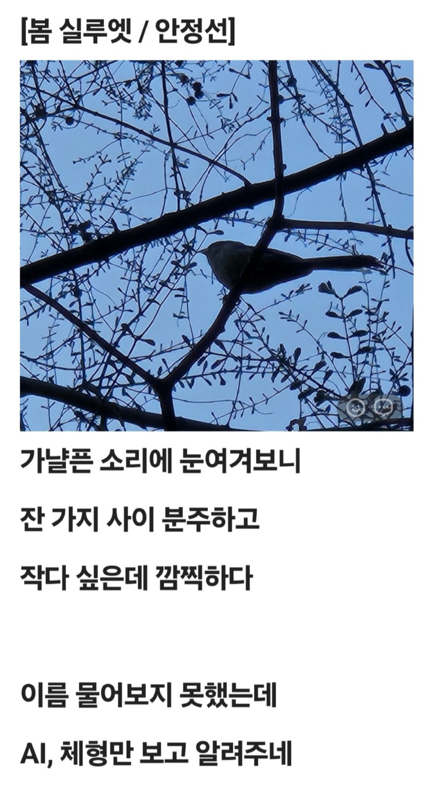 KakaoTalk_20260408_083751878.jpg