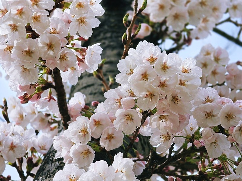 KakaoTalk_20260411_115627990.png
