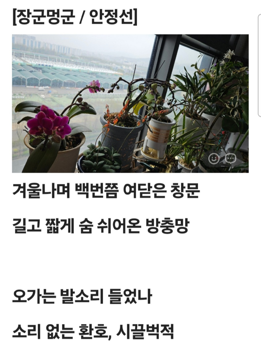 KakaoTalk_20260412_112419482.jpg