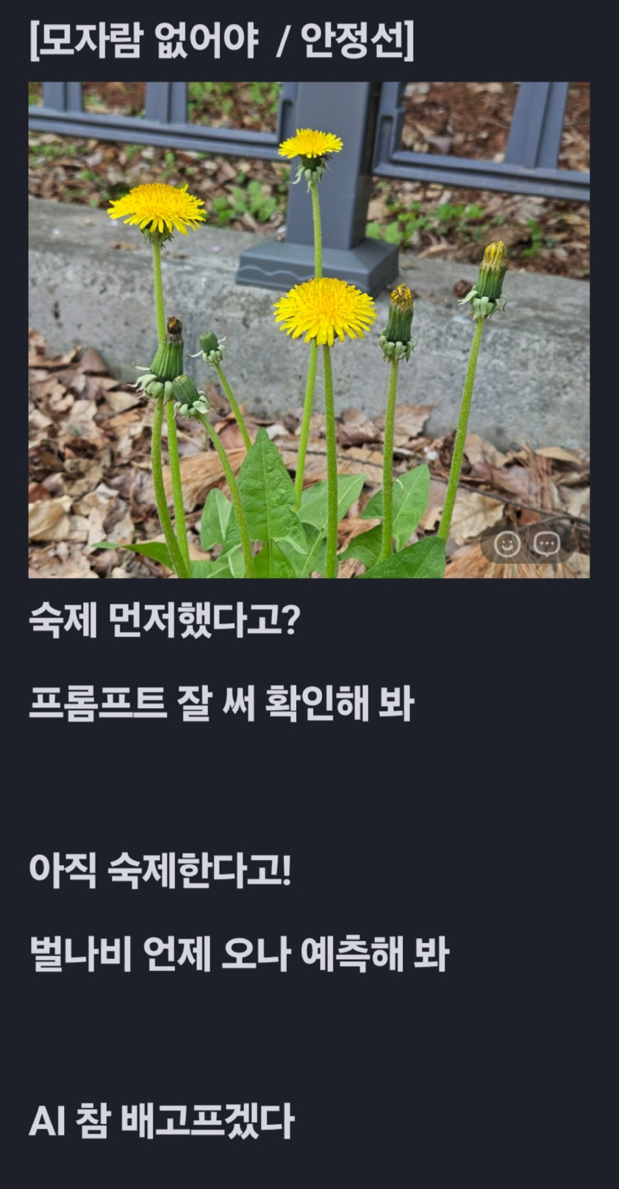 KakaoTalk_20260416_064043259.jpg
