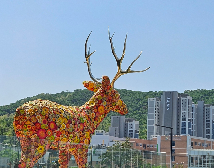 제자에게.jpg
