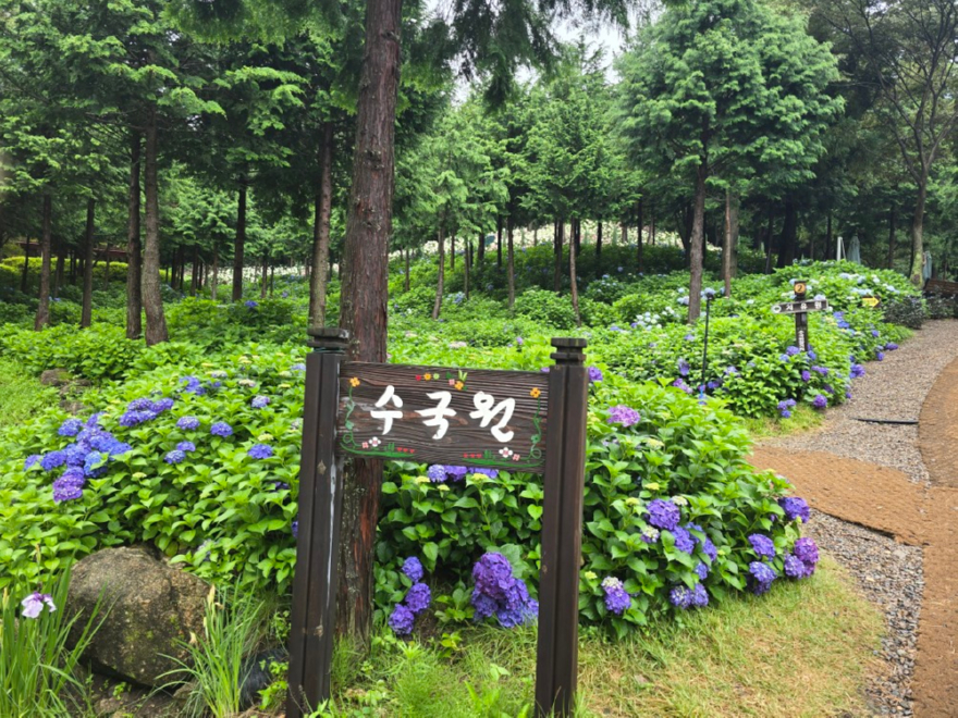 수국원.jpg