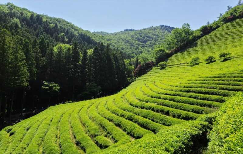 KakaoTalk_20260703_090140071.png