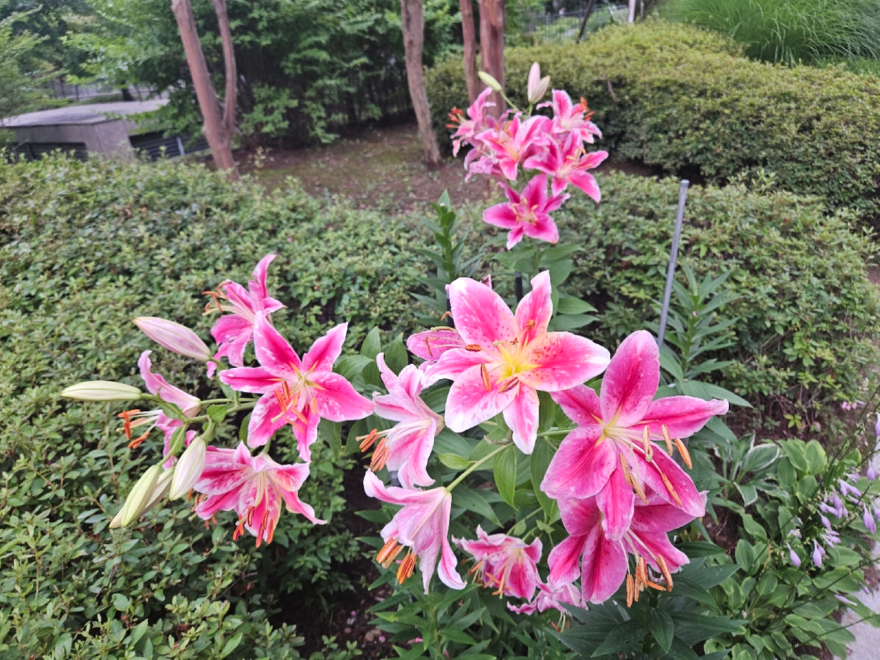 KakaoTalk_20260714_191105582.jpg