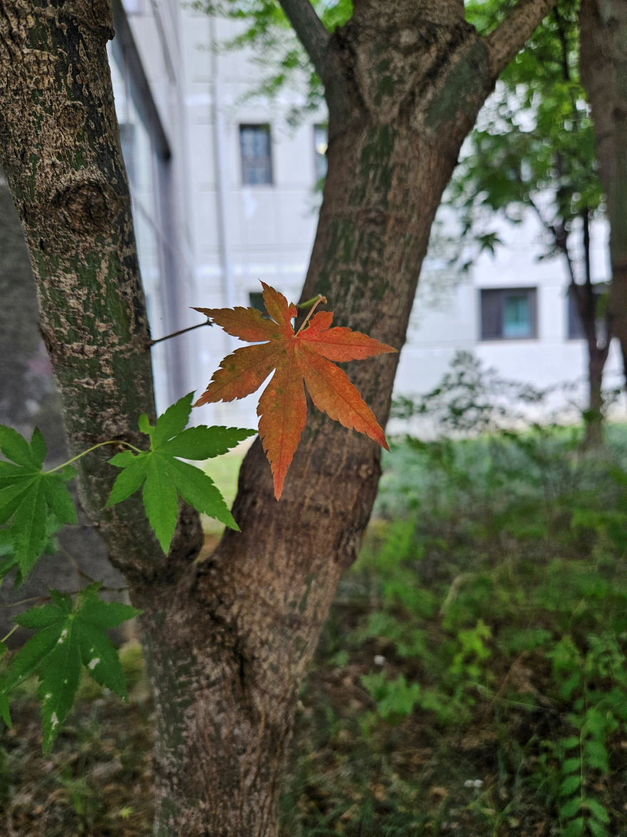 아픈만큼.jpg