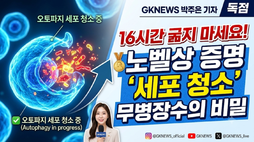 오토파지.png