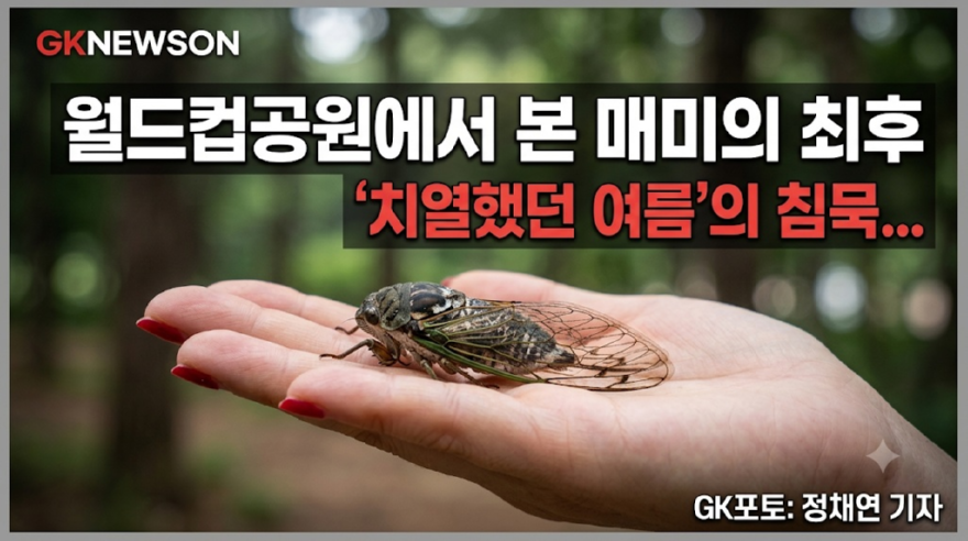 매최.png