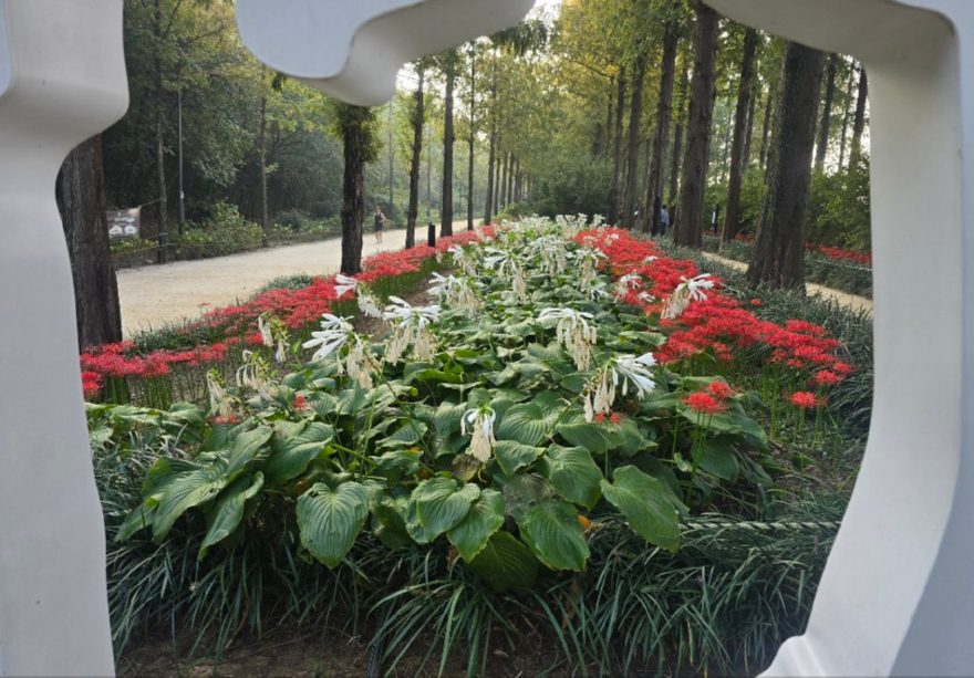 KakaoTalk_20260924_113459139.jpg