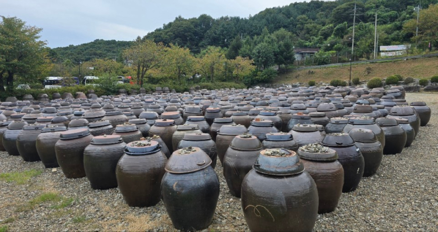 KakaoTalk_20261002_084539319.jpg
