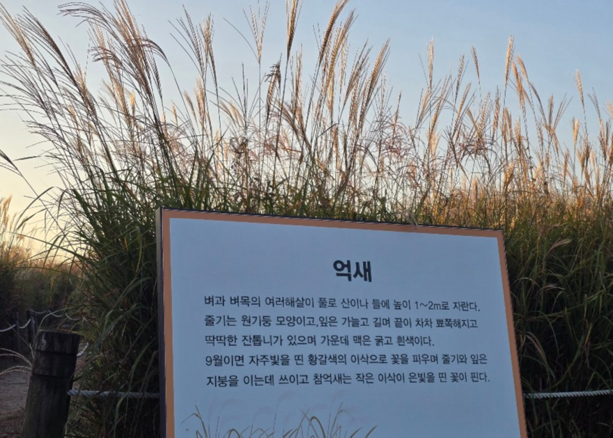 억4.jpg