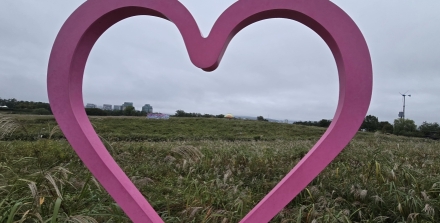 제24회 서울억새축제 마포구 월드컵공원·하늘공원일대에서 개막