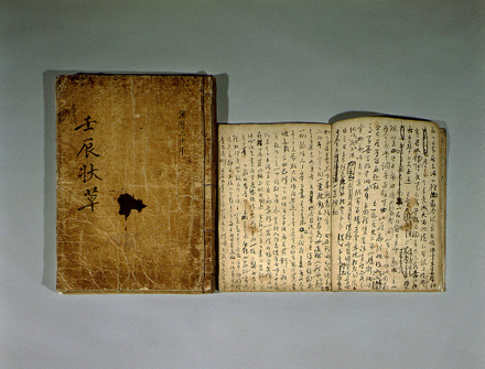 선거이 장군, 난중일기 속 충의의 이름 다시 빛나다