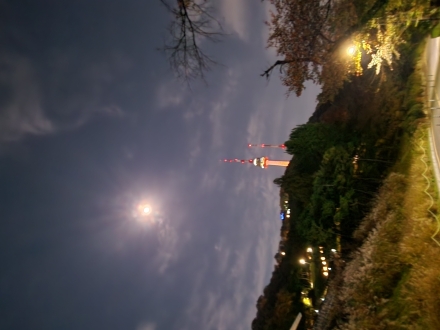 남산야경