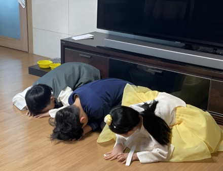 세배!