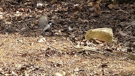 시차 펀(FUN)