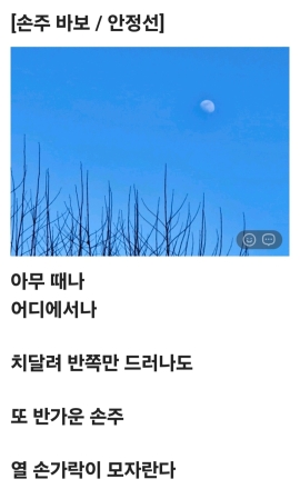 손주바보