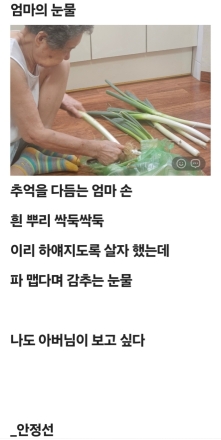 엄마의 눈물