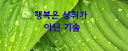 "행복은 성취가 아닌 기술"… 2,500년 인류 지성이 찾아낸 '파랑새'의 정체