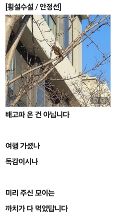 횡설수설
