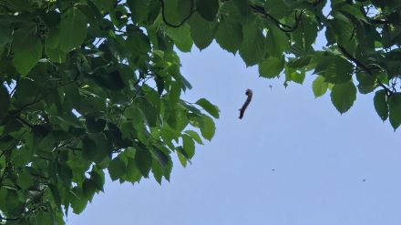 오월을 즐겨라