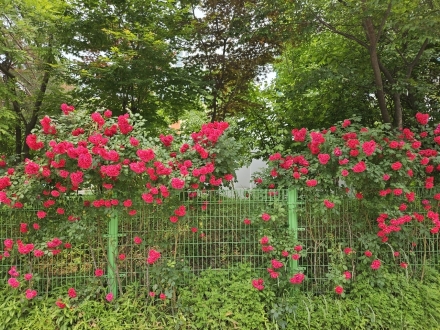 앗! 세계지도