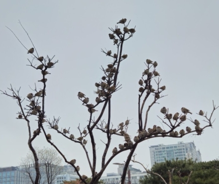학창 시절