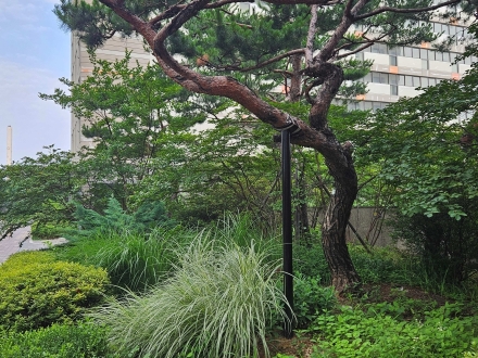 우리, 괜찮아