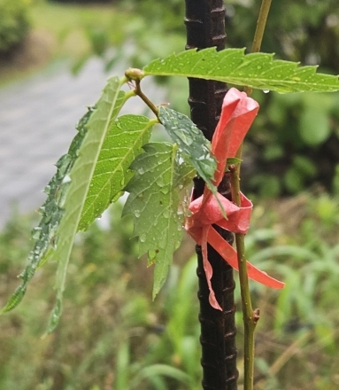 철두철미