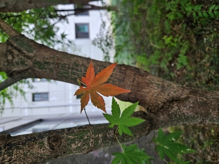 아픈 만큼