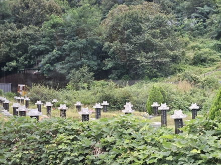 기로에 서서