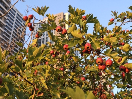 옥체만안