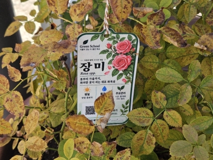 명함
