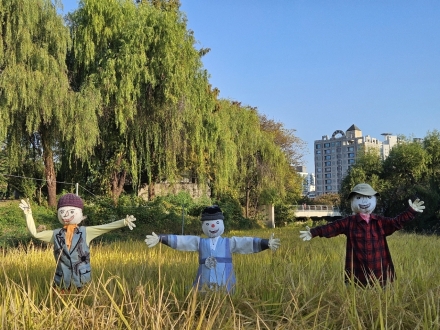 공존